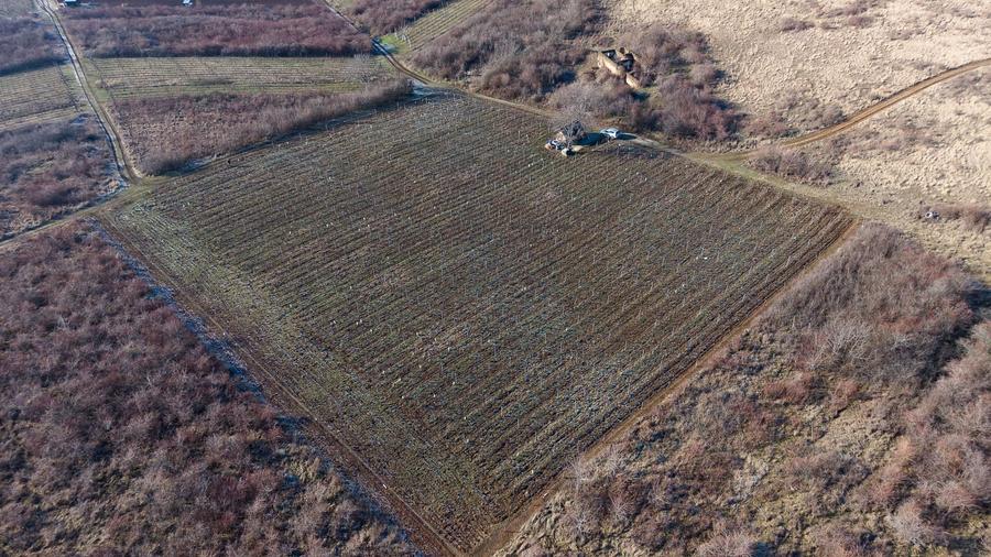 Teren agricol extravilan de 6800 mp, în Covăsinț