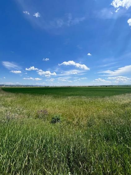 Teren de 219000 mp, în Periferie