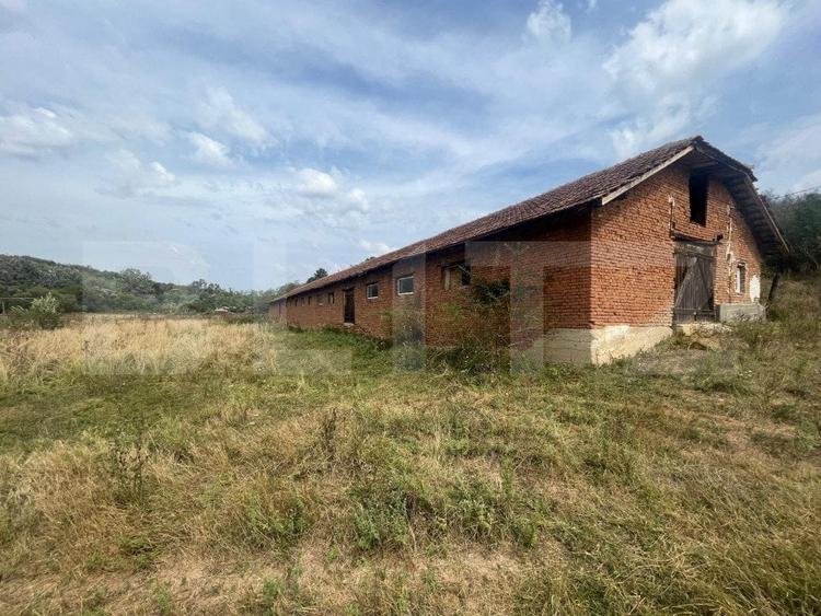 Teren Construcții intravilan de 3000 mp, în Filiași