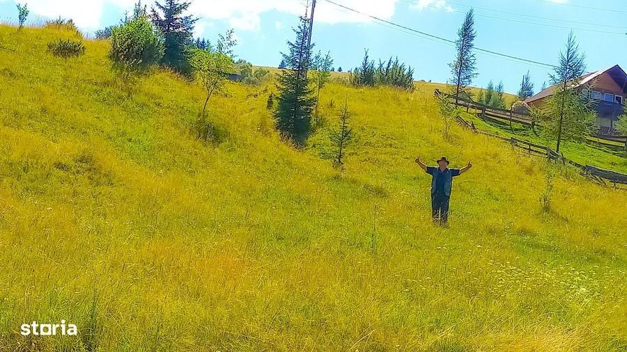 Teren de 2000 mp, în Paltin