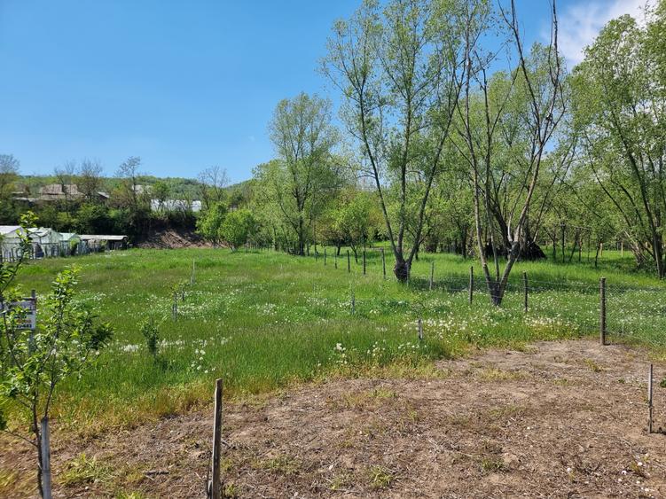 Teren Construcții intravilan de 1809 mp, în Moțăieni