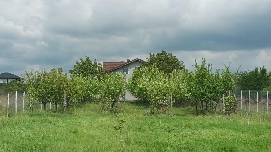 Casă cu 3 camere cu Teren 4250 Mp în Moara Vlăsiei