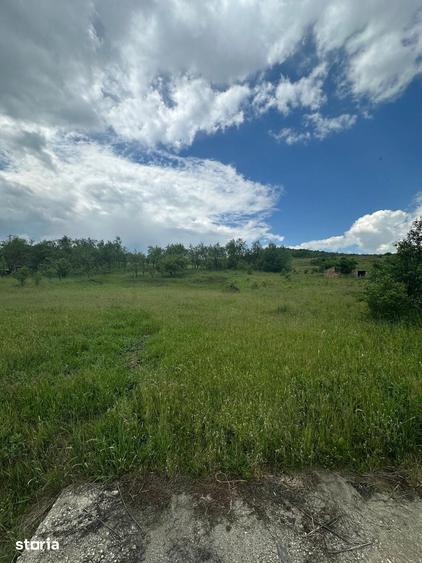 Teren de 4193 mp, în Mintiu Gherlii