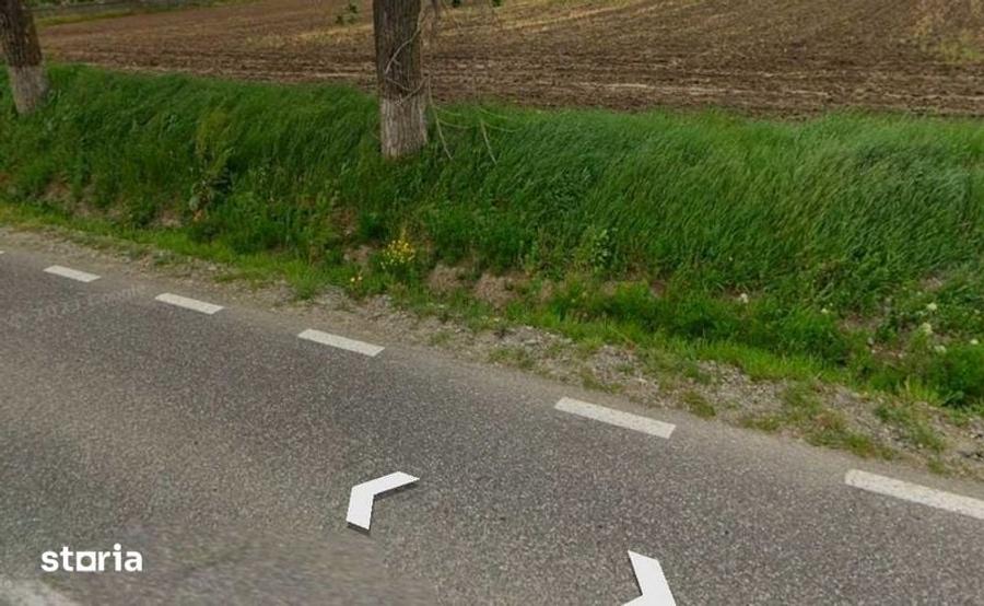 Teren 5000 mp de vanzare la strada in voinesti Iasi - 2