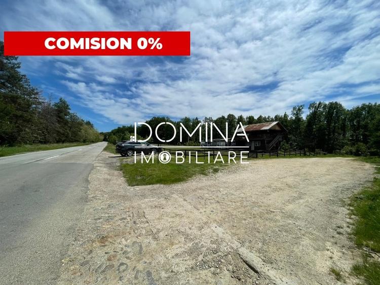 Închiriere teren *oportunitate investiție* situat în Cărbunești-Sat, la DN 67B - 1