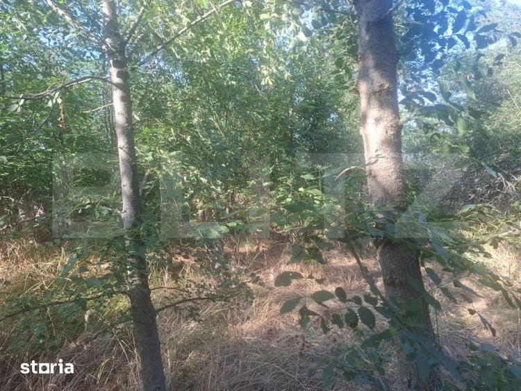 Teren de 5000 mp, în Răzvad