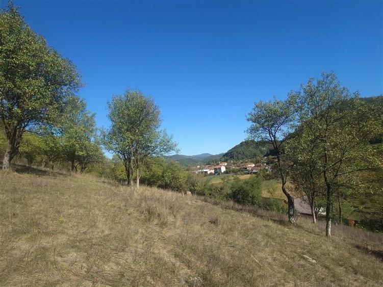 Teren Construcții extravilan de 14075 mp, în Crișcior