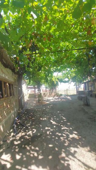 Casă cu 6 camere cu Teren 1480 Mp în Iecea Mare