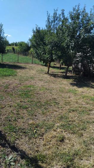 Casă cu 4 camere cu Teren 4000 Mp în Ștefănești