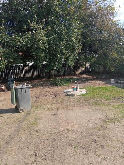 Casă cu 3 camere în Găneasa