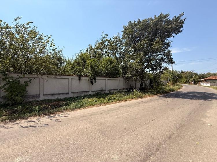 Teren Construcții intravilan de 7808 mp, în Bolovani