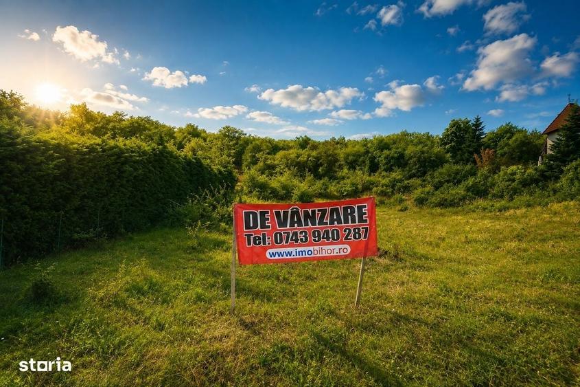 Teren pentru dezvoltare imobiliara - IMOBIHOR - 1
