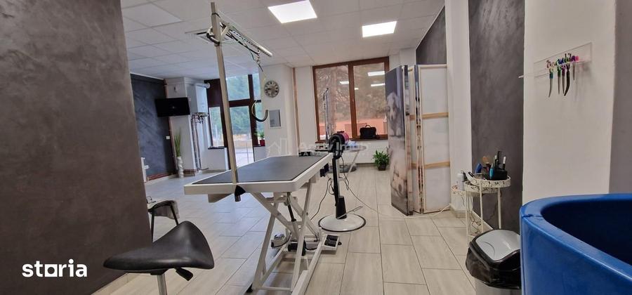 Spațiu comercial, de 50 mp, în Central