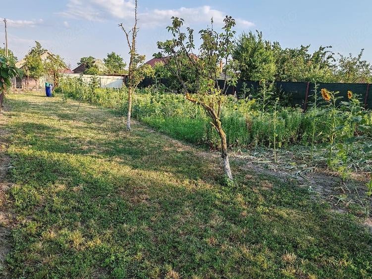 Casă cu 3 camere cu Teren 973 Mp în Pustiniș