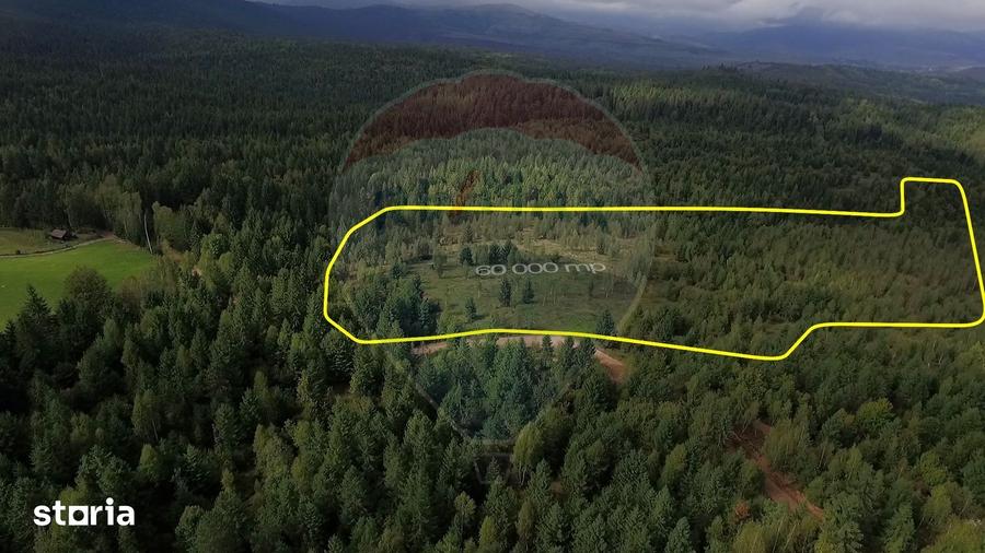 Teren extravilan parcelabil Cala?ele Padure, zona Dealu Negru - 8