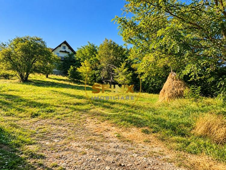 Teren Construcții intravilan de 3951 mp, în Bran