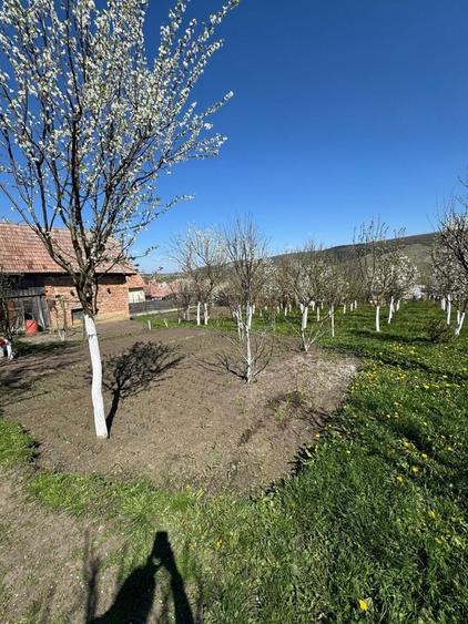 Casă cu 3 camere în Nord