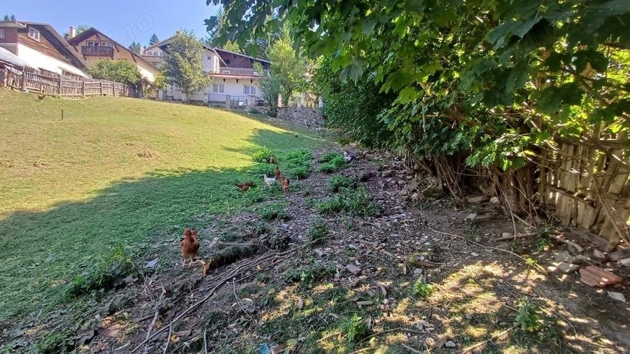 Teren în Poiana Țapului