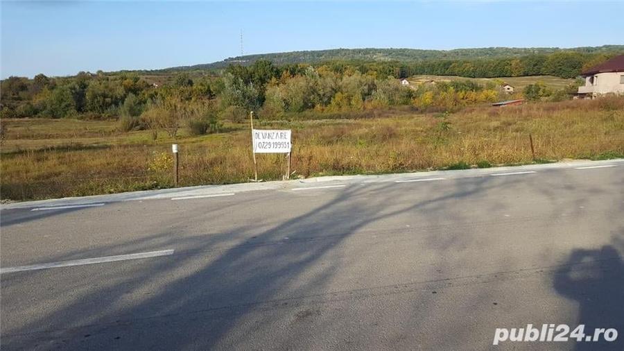 Teren de 8000 mp, în Bârnova
