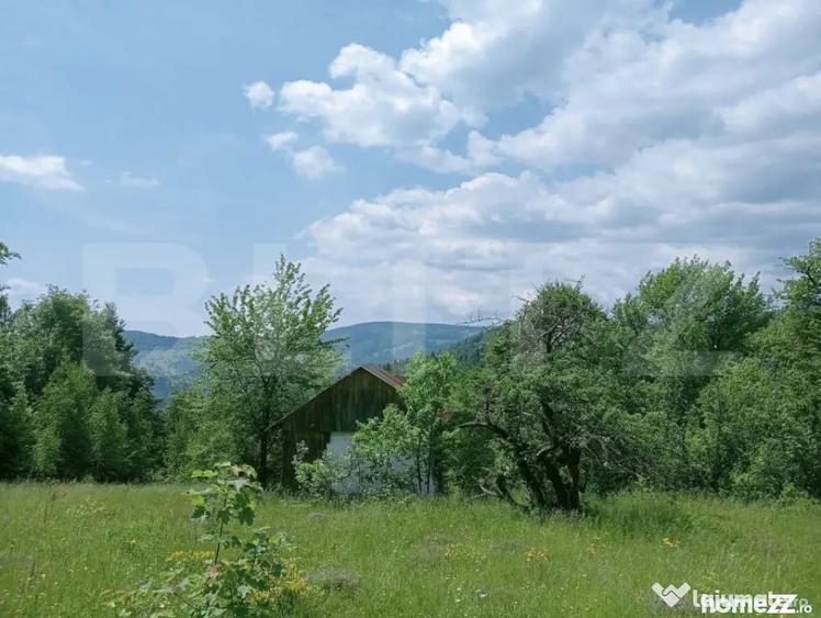 Teren în Scărișoara
