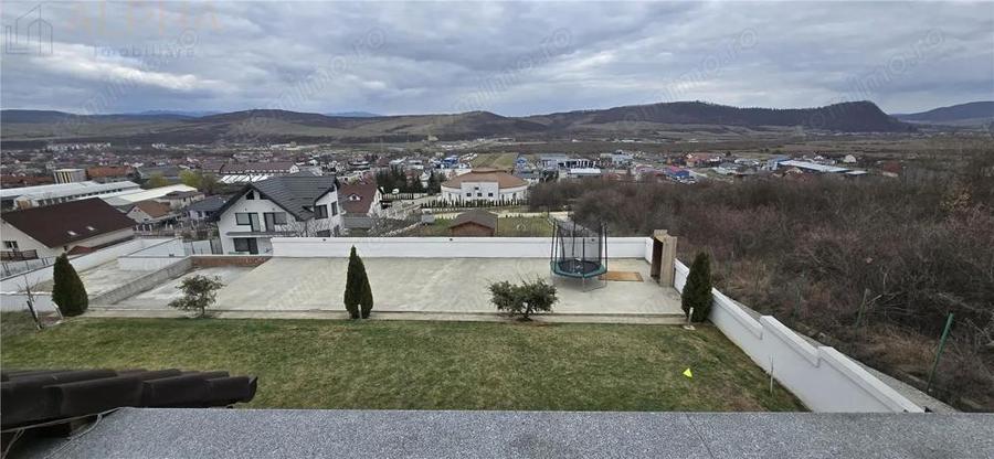 Casă cu Teren 1450 Mp în Viișoara
