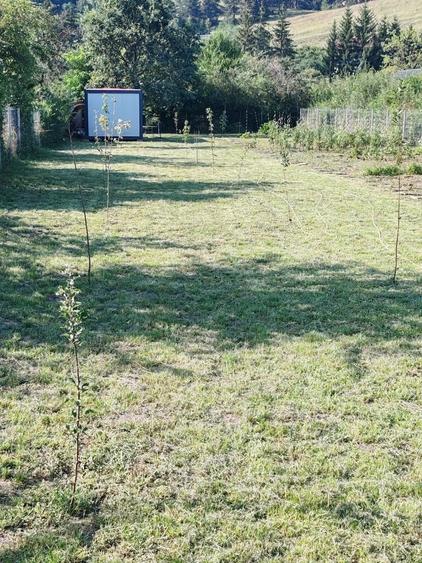 Teren de 1019 mp, în Sânpetru