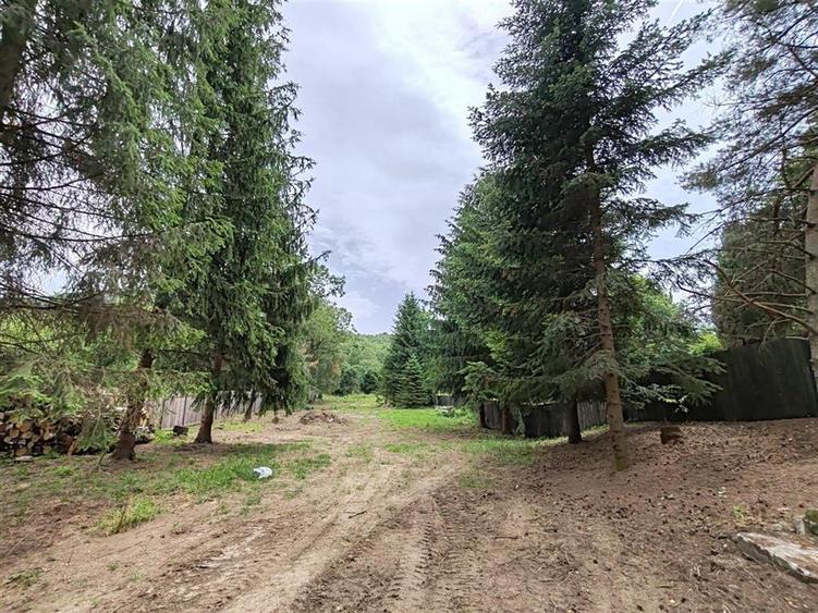 Casă cu 3 camere cu Teren 3300 Mp în Glăjărie