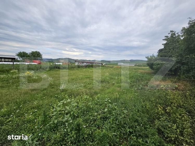 Casă cu 3 camere cu Teren 2698 Mp în Cistei