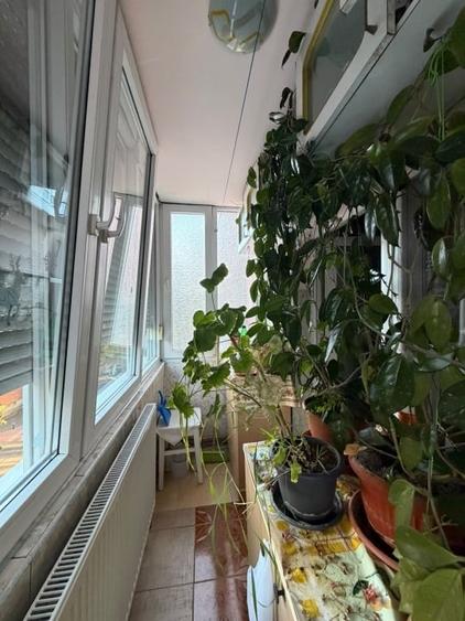 Apartament cu 3 camere semidecomandat, mobilat în Lipovei