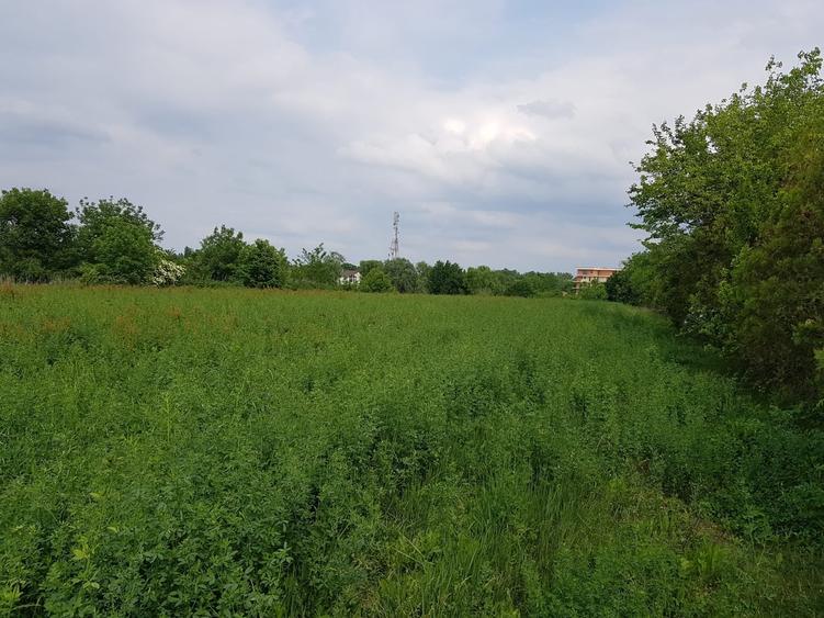 Teren Construcții intravilan de 19568 mp, în Siliștea Snagovului