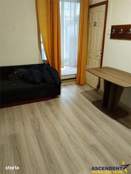 Garsoniera in vila, baie si bucatarie proprie, acces aproape independe - 10