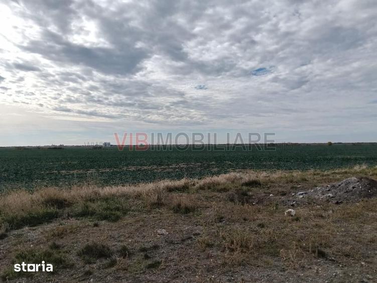 Teren de 13500000 mp, în Central