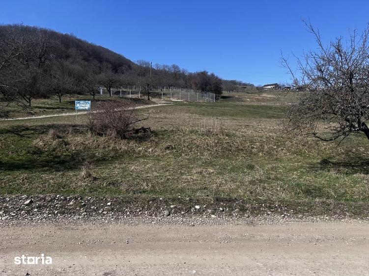 17 parcele Teren extravilan Drumul Dumitrei Noi - 2