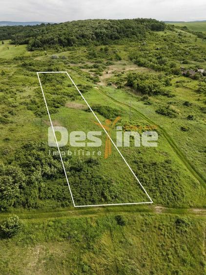 Teren agricol extravilan de 7172 mp, în Valea Ursului
