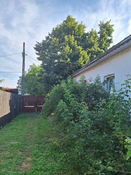 Casă cu 3 camere în Coșoveni