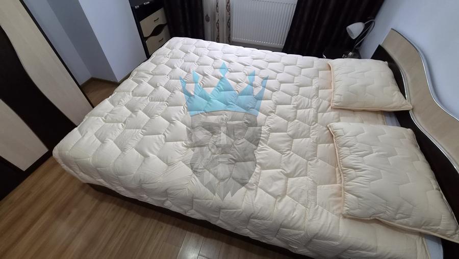 Apartament cu 3 camere decomandat, mobilat în Moșilor