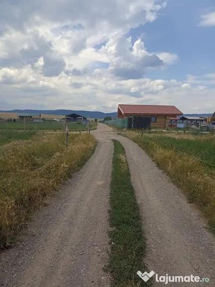 De vanzare terenuri extravilane in Sfantu Gheorghe - 2