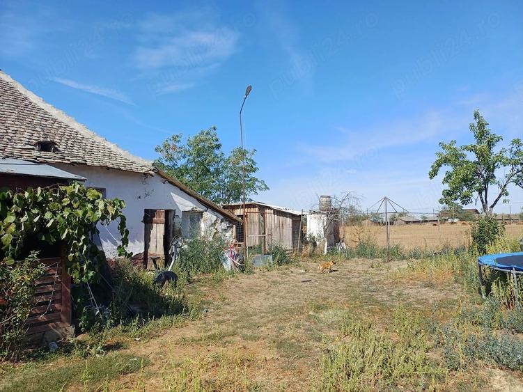 Teren de 15540 mp, în Livezile