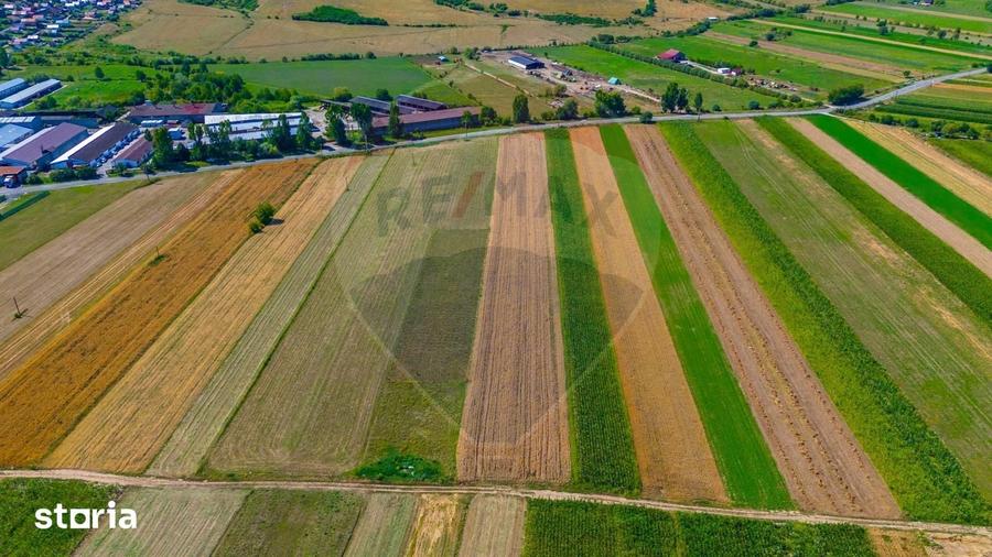 Teren de 7000 mp, în Teliu