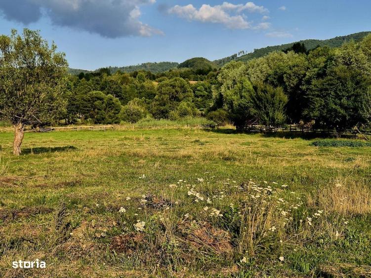 Teren recreational cu iesire la apa/Sinca Noua Brasov - 6