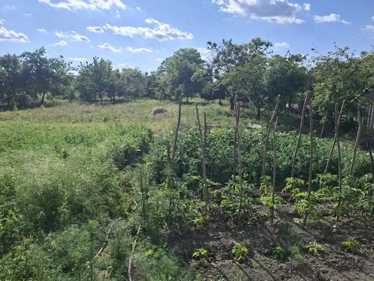 Casă cu 5 camere cu Teren 2117 Mp în Nădlac