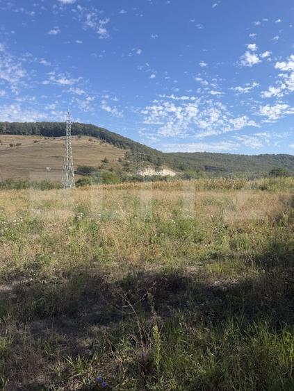 Teren Construcții intravilan de 5595 mp, în Est