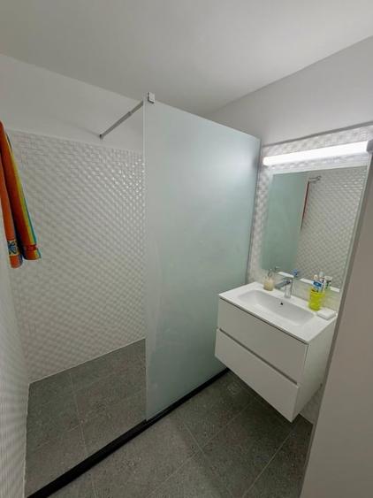 Garsoniera de inchiriat, 42 mp, zona Brazda lui Novac - 6