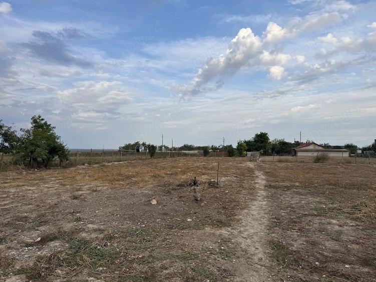 Teren de 2500 mp, în Ceamurlia de Jos