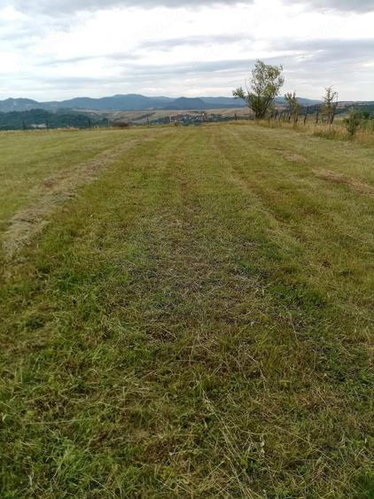 Teren de 5100 mp, în Livezile