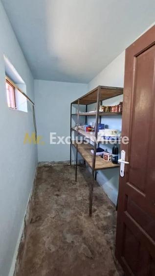 Casă cu Teren 1667 Mp în Teiu