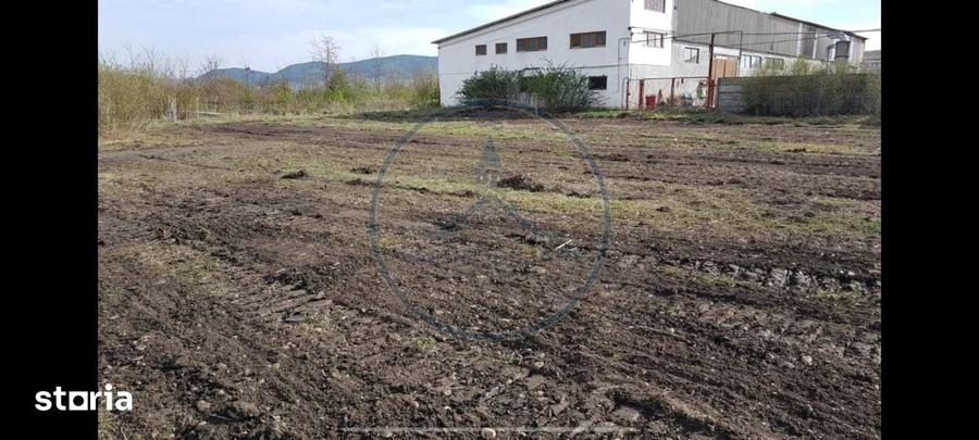 Teren de 6500 mp, în Șieu