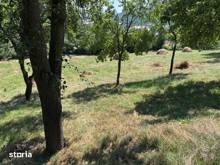 Teren de 5000 mp, în Gârcina