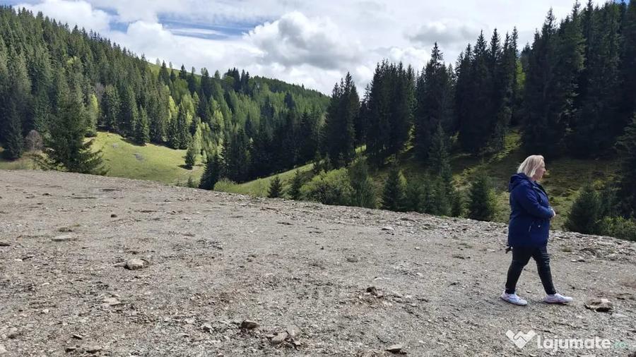 Vand teren intravilan in Bai?oara - 2