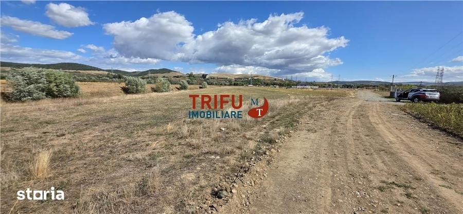 Teren intravilan cu suprafata de 5800 mp pentru investitie - 2